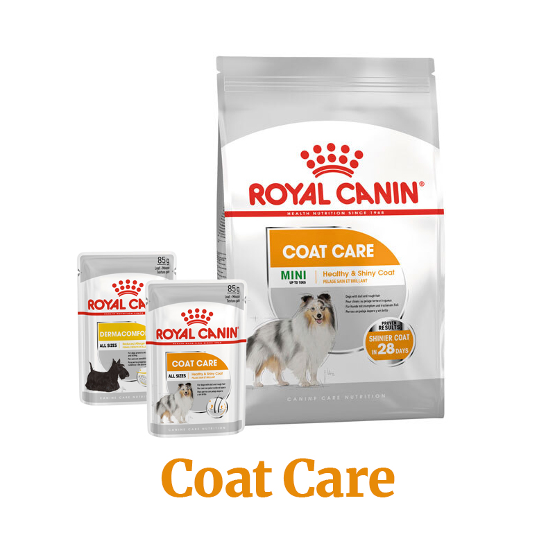 Shop Coat Care